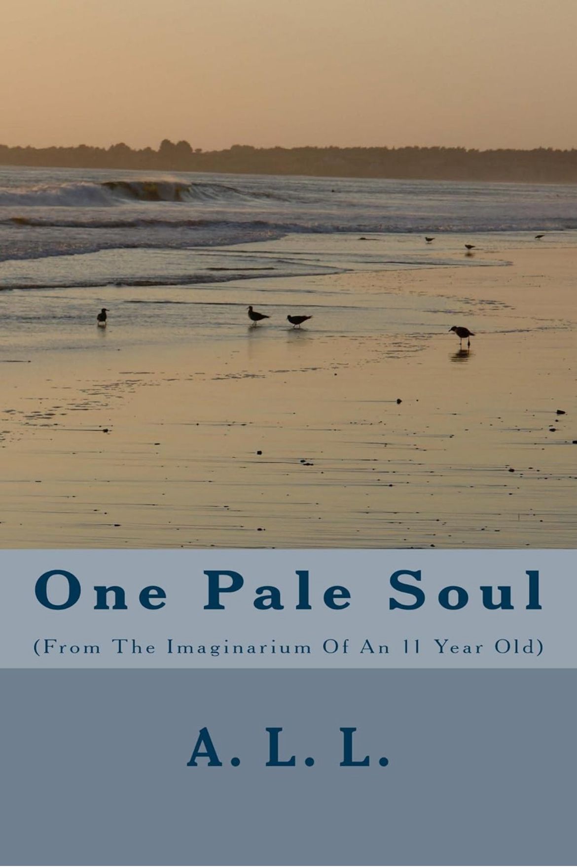 One Pale Soul cover